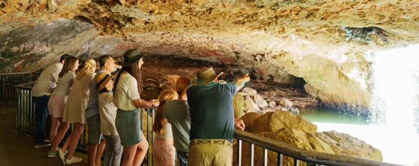 Gold Coast Natural Bridge and Springbrook Waterfalls Tour - Explore the Gold Coast Natural Bridge and Springbrook Waterfalls on a guided day tour. Visit ancient rainforests, scenic lookouts, and stunning waterfalls in World Heritage-listed Springbrook National Park. Gold Coast Natural Bridge and Springbrook Waterfalls Tour - Image 4 of 5