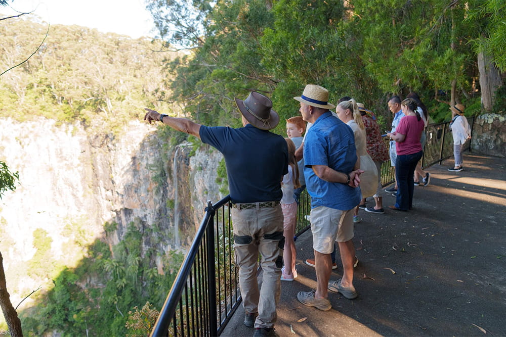 Gold Coast Naturbrücke und Springbrook Wasserfälle Tour - Bild 5 von 5