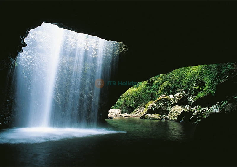 Tour del Natural Bridge della Gold Coast e delle Cascate di Springbrook
