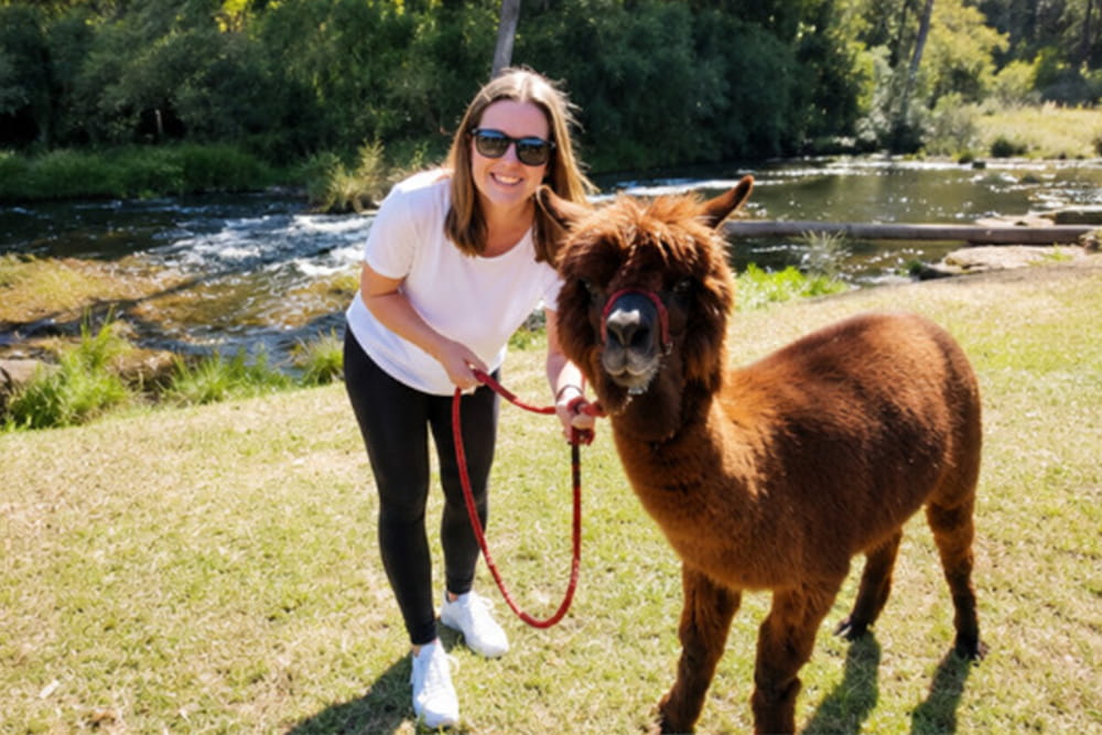Lamington Nationalpark Tour: O'Reilly's Regenwald-Retreat und Canungra Valley Weingut - Bild 1 von 5