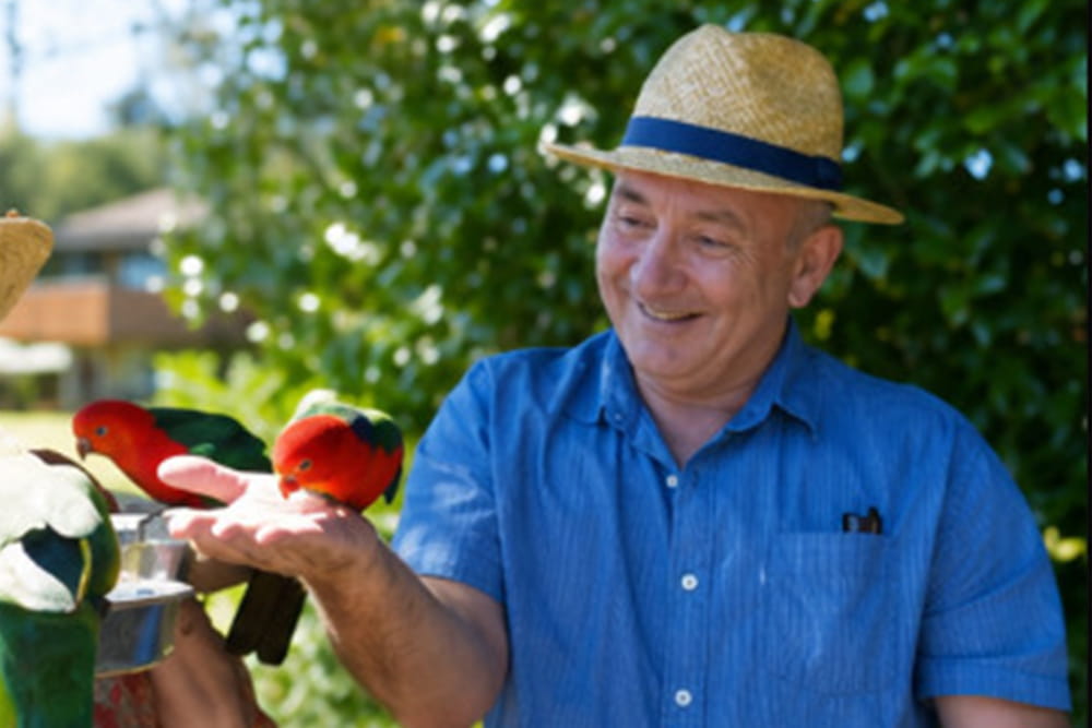 Lamington Nationalpark Tour: O'Reilly's Regenwald-Retreat und Canungra Valley Weingut - Bild 2 von 5