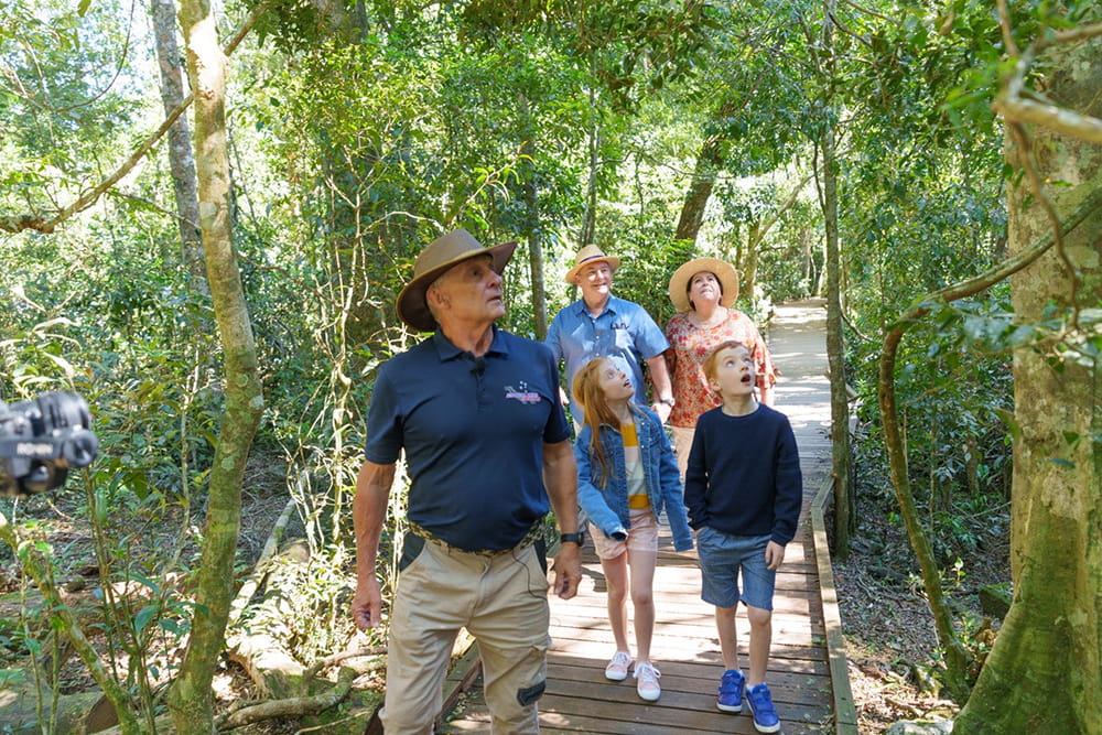 Lamington Nationalpark Tour: O'Reilly's Regenwald-Retreat und Canungra Valley Weingut - Bild 4 von 5