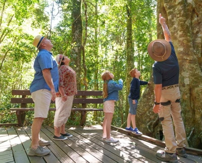 Lamington National Park Tour: O'Reilly's Rainforest Retreat and Canungra Valley Vineyard - Experience the Lamington National Park Tour with O'Reilly's Rainforest Retreat, Tree Top Walk, Kamarun Lookout, and Canungra Valley Vineyard. Book your Gold Coast day tour today. Lamington National Park Tour: O'Reilly's Rainforest Retreat and Canungra Valley Vineyard - Image 5 of 5