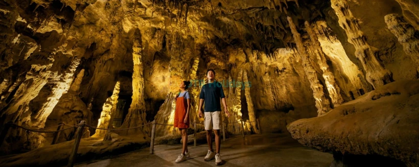 Rainforest Wild Adventure Ticket - Image 3 of 5