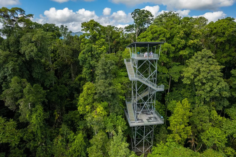 Билеты на Mamu Tropical Skywalk - Забронируйте билеты на Тропический Скайуок Мамуу с Джей Ти Ар Холидейс и исследуйте внесённый в список Всемирного наследия Квинслендский тропический лес. Прогуляйтесь по возвышенным настилам, перейдите подвесной мост и насладитесь панорамными видами с обзорной башни во время незабываемого приключения в тропическом лесу. Билеты на Mamu Tropical Skywalk - Изображение 1 из 5