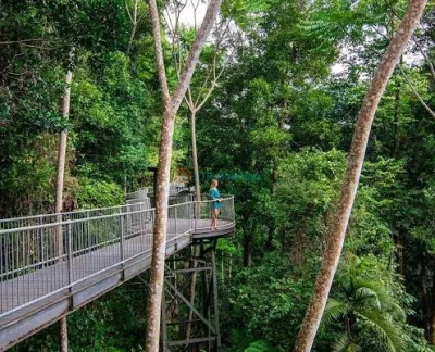 Mamu Tropical Skywalk Tickets - Image 2 of 5