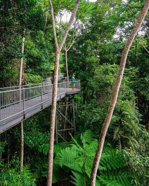 Билеты на Mamu Tropical Skywalk - Изображение 2 из 5