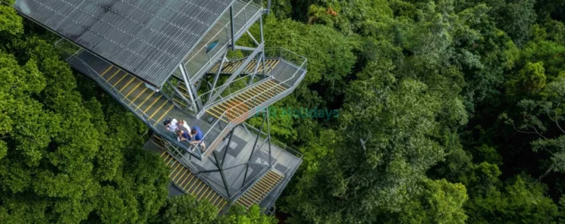 Mamu Tropical Skywalk Tickets - Image 4 of 5