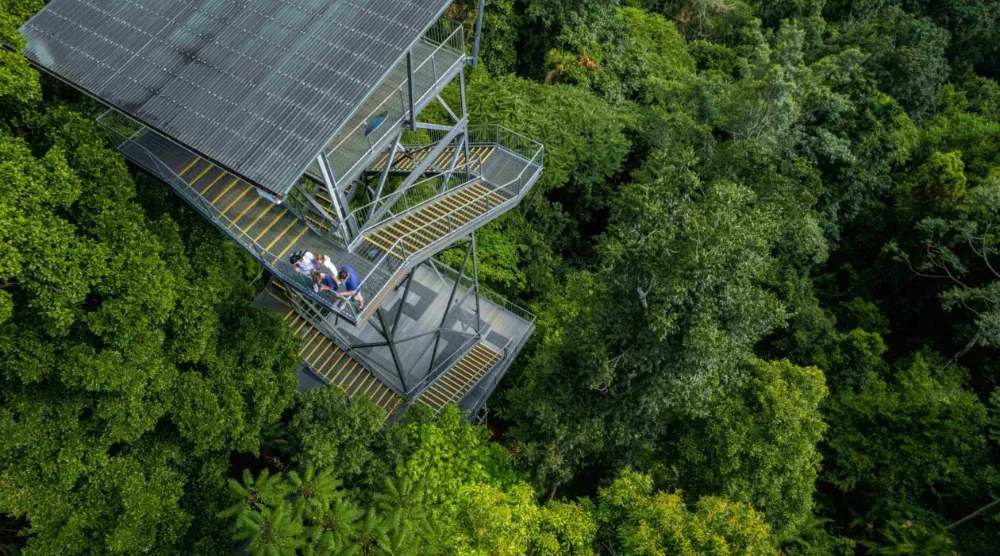 Билеты на Mamu Tropical Skywalk - Забронируйте билеты на Тропический Скайуок Мамуу с Джей Ти Ар Холидейс и исследуйте внесённый в список Всемирного наследия Квинслендский тропический лес. Прогуляйтесь по возвышенным настилам, перейдите подвесной мост и насладитесь панорамными видами с обзорной башни во время незабываемого приключения в тропическом лесу. Билеты на Mamu Tropical Skywalk - Изображение 4 из 5