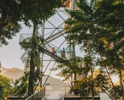 Mamu Tropical Skywalk Tickets - Image 5 of 5