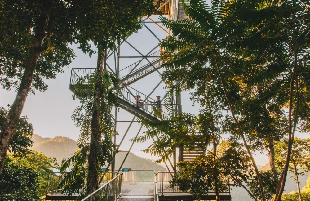 Билеты на Mamu Tropical Skywalk - Забронируйте билеты на Тропический Скайуок Мамуу с Джей Ти Ар Холидейс и исследуйте внесённый в список Всемирного наследия Квинслендский тропический лес. Прогуляйтесь по возвышенным настилам, перейдите подвесной мост и насладитесь панорамными видами с обзорной башни во время незабываемого приключения в тропическом лесу. Билеты на Mamu Tropical Skywalk - Изображение 5 из 5