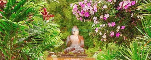 Byron Bay Crystal Castle & Shambhala Gardens Tickets - Book Byron Bay Crystal Castle & Shambhala Gardens Tickets with JTR Holidays. Explore stunning botanical gardens, giant natural crystals, meditation spaces, and scenic hinterland views near Byron Bay for a peaceful and memorable day out. Byron Bay Crystal Castle & Shambhala Gardens Tickets - Image 3 of 5