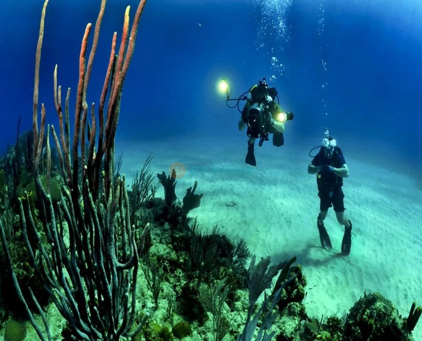 Discover Scuba Diving in Dibba Al Fujairah - Image 2 of 5