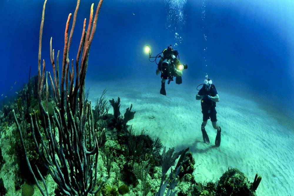 Discover Scuba Diving in Dibba Al Fujairah - Image 2 of 5