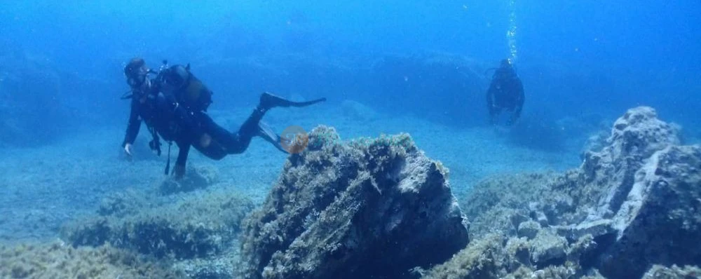 Discover Scuba Diving in Dibba Al Fujairah - Image 4 of 5