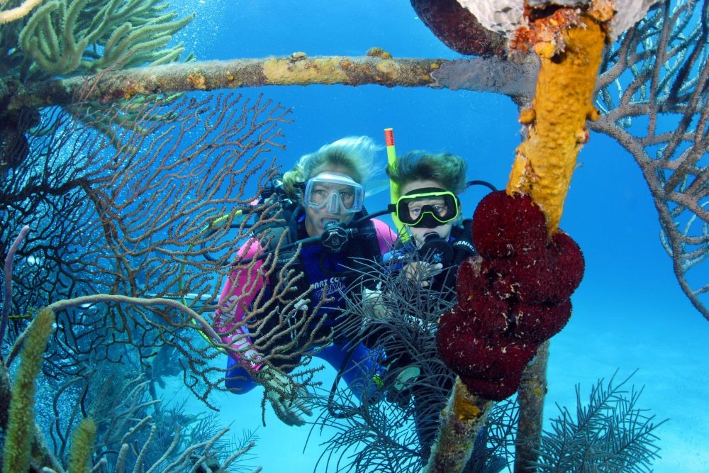 Discover Scuba Diving in Dibba Al Fujairah - Experience the thrill of scuba diving in Dibba Al Fujairah, a stunning underwater paradise. Perfect for beginners, this guided dive lets you explore vibrant marine life and crystal-clear waters with expert instructors. No prior experience is needed—just a sense of adventure! Book now for an unforgettable underwater journey. Discover Scuba Diving in Dibba Al Fujairah - Image 5 of 5