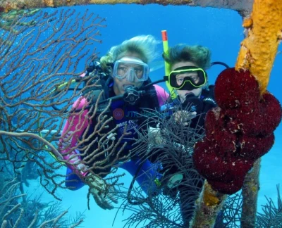 Discover Scuba Diving in Dibba Al Fujairah - Experience the thrill of scuba diving in Dibba Al Fujairah, a stunning underwater paradise. Perfect for beginners, this guided dive lets you explore vibrant marine life and crystal-clear waters with expert instructors. No prior experience is needed—just a sense of adventure! Book now for an unforgettable underwater journey. Discover Scuba Diving in Dibba Al Fujairah - Image 5 of 5