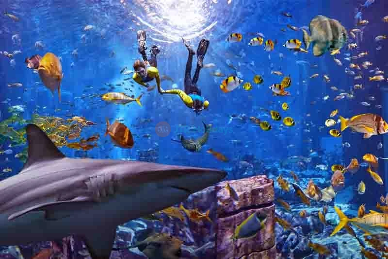 Atlantis Ultimate Snorkel Experience