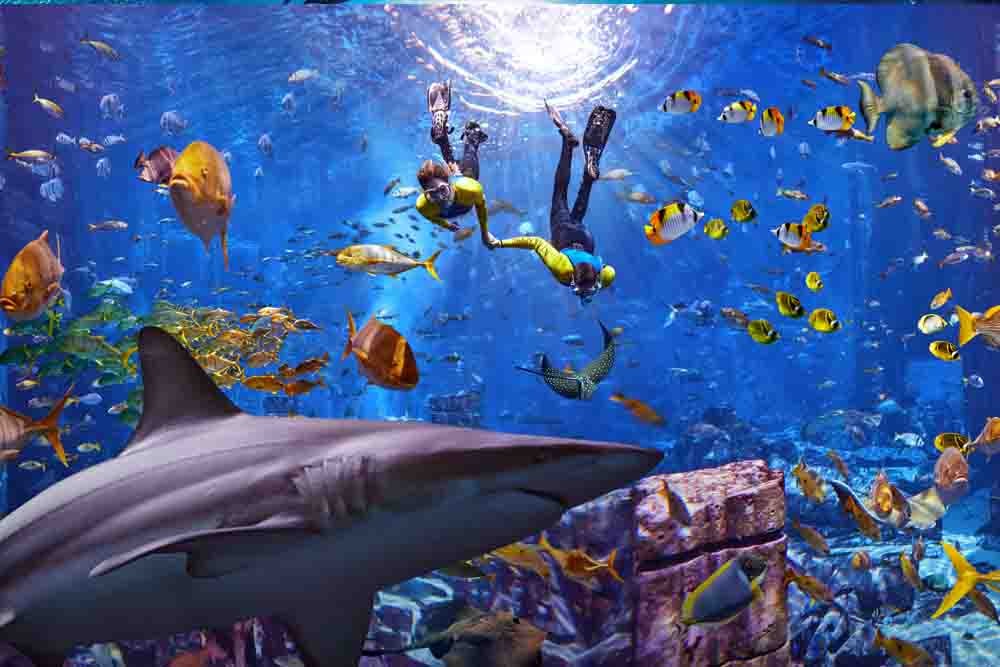 Atlantis Ultimate Snorkel Experience - Image 1 of 5