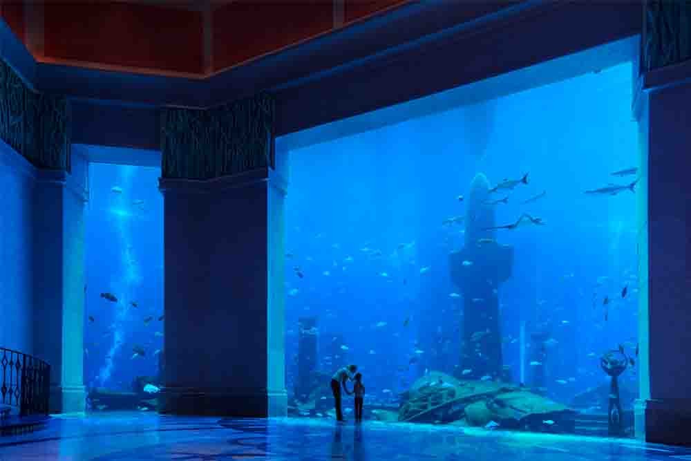 Atlantis Ultimate Snorkel Experience - Image 2 of 7