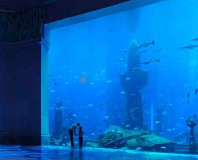 Expérience ultime de plongée en apnée Atlantis - Toute la famille adorera cette expérience immersive, alors que vous ferez de la plongée en apnée dans l'Ambassador Lagoon et serez entouré(e) pour observer l'extraordinaire vie marine en dessous. Admirez plus de 65,000 animaux marins de toutes formes et tailles autour du lagon. Convient aux non-nageurs âgés de 6 ans et plus. Expérience ultime de plongée en apnée Atlantis - Image 2 sur 5