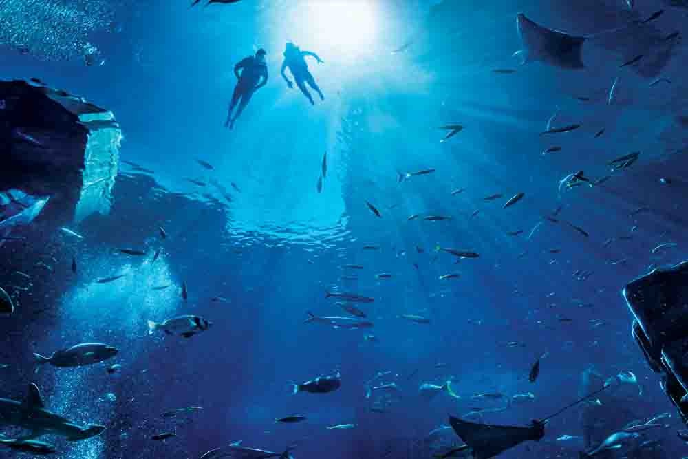 Atlantis Ultimate Snorkel Experience - Image 3 of 5