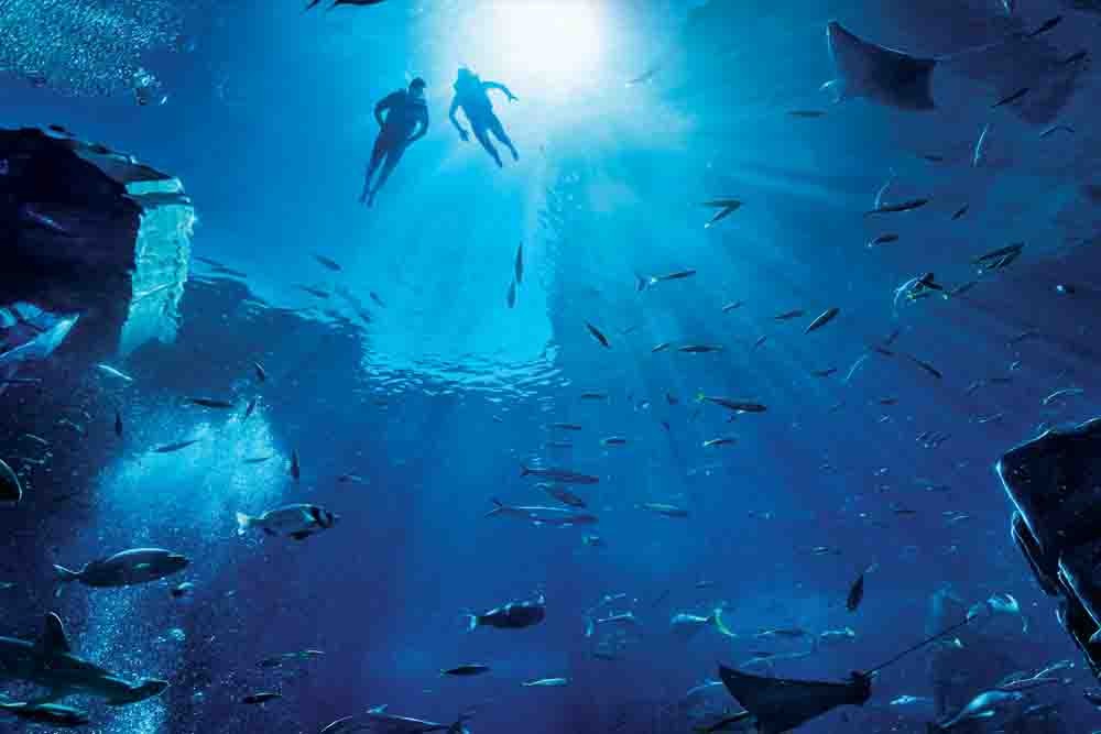 Atlantis Ultimate Snorkel Experience - Dubai Atlantis Snorkel Tickets - JTR Holidays
