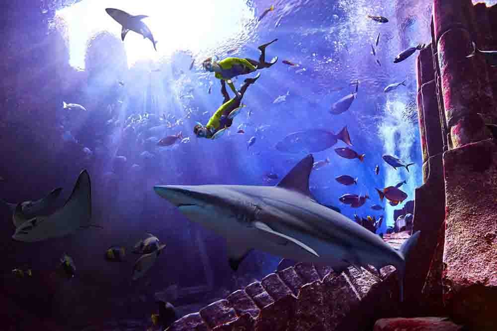 Atlantis Ultimate Snorkel Experience - Dubai Atlantis Snorkel Tickets - JTR Holidays