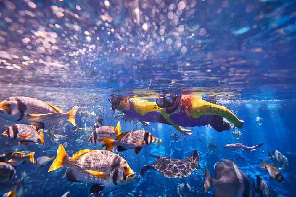 Atlantis Ultimate Snorkel Experience - Image 6 of 7