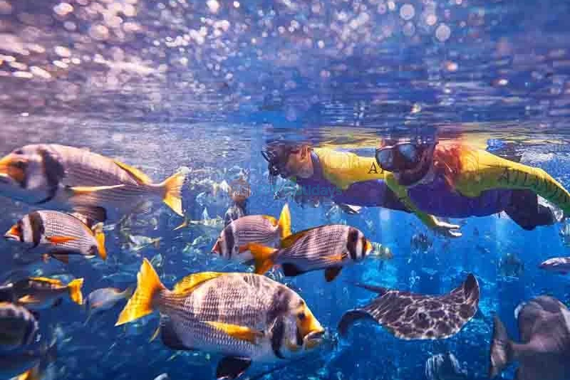 Atlantis Ultimate Snorkel Experience - Image 6 of 7