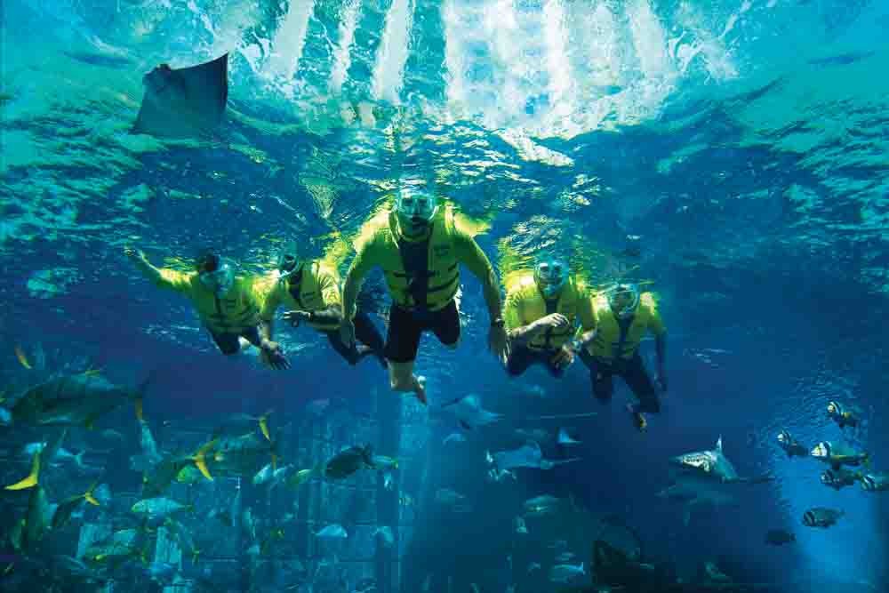 Atlantis Ultimate Snorkel Experience - Image 7 of 7