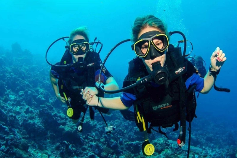 Immersione Notturna Fujairah