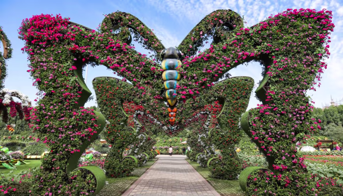 JTR Abu Dhabi Multiattraction Pass - Explore Abu Dhabi’s top attractions with the JTR Abu Dhabi Multi-Attraction Pass. Enjoy convenient access to multiple attractions and create your own Abu Dhabi adventure. JTR Abu Dhabi Multiattraction Pass - Image 4 of 5