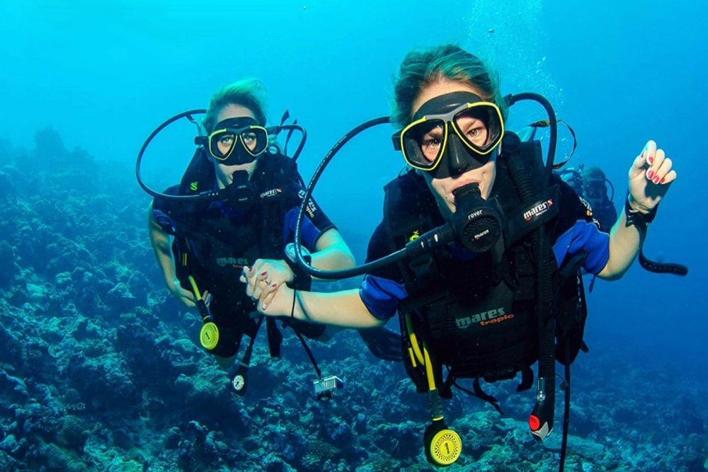 Night Diving Fujairah - Night Diving Fujairah, Slowly descend into the water at night and uncover the mysteries of the dark depths of the east coast. Night Scuba Diving Fujairah. Night Diving Fujairah - Image 1 of 5