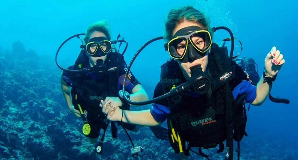 Night Diving Fujairah - Night Diving Fujairah, Slowly descend into the water at night and uncover the mysteries of the dark depths of the east coast. Night Scuba Diving Fujairah. Night Diving Fujairah - Image 1 of 5