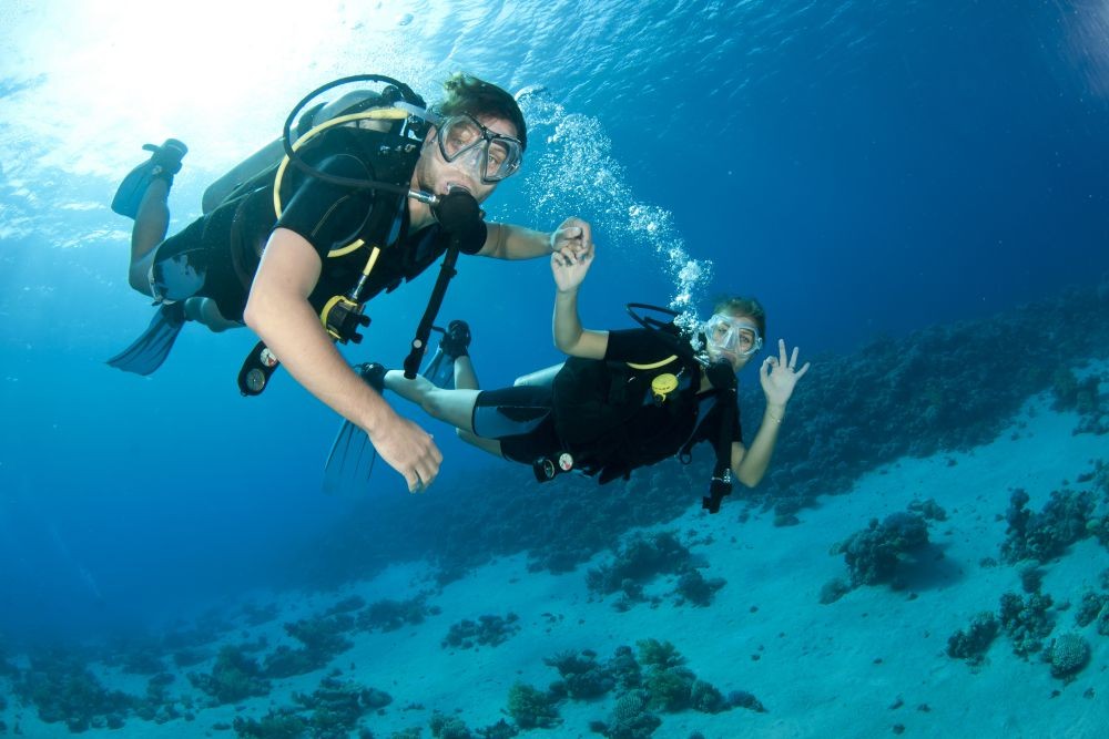 Night Diving Fujairah - Night Diving Fujairah, Slowly descend into the water at night and uncover the mysteries of the dark depths of the east coast. Night Scuba Diving Fujairah. Night Diving Fujairah - Image 2 of 5