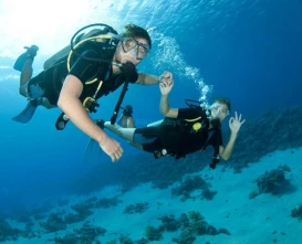 Night Diving Fujairah -Night Scuba Diving fujairah | jtrholidays.com
