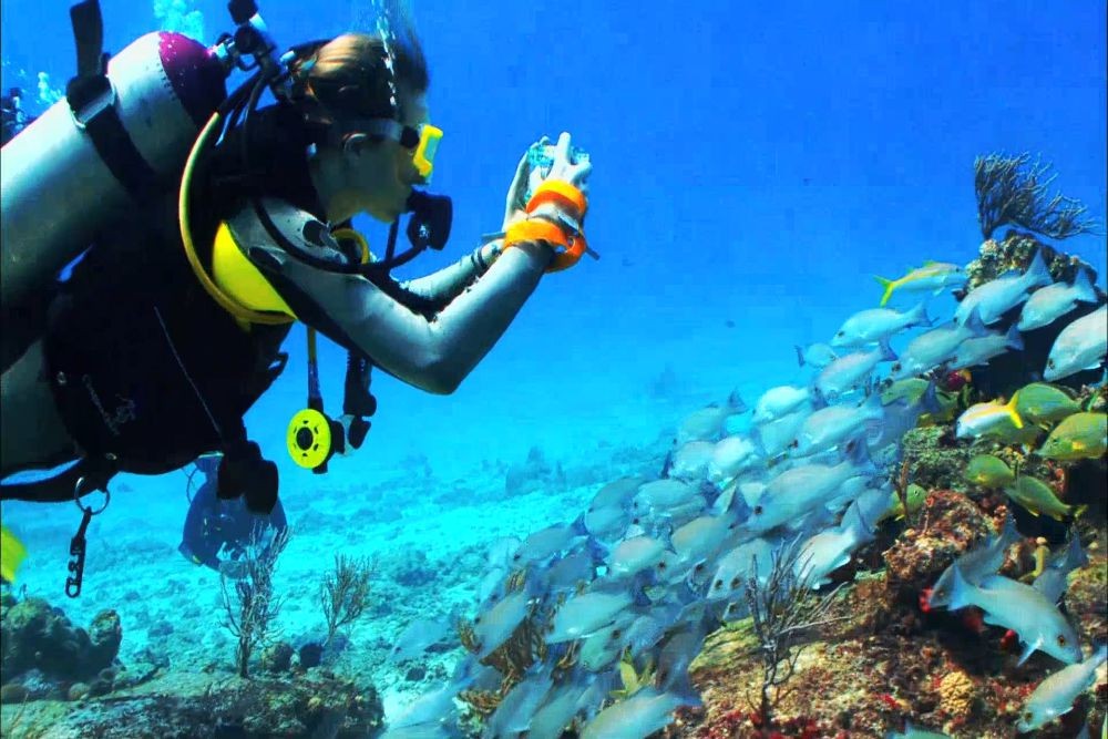 富查伊拉夜潜 - Image 3 of 8