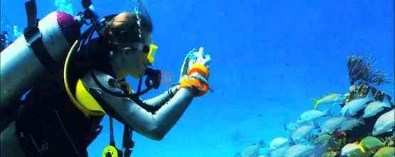 Night Diving Fujairah -Night Scuba Diving fujairah | jtrholidays.com