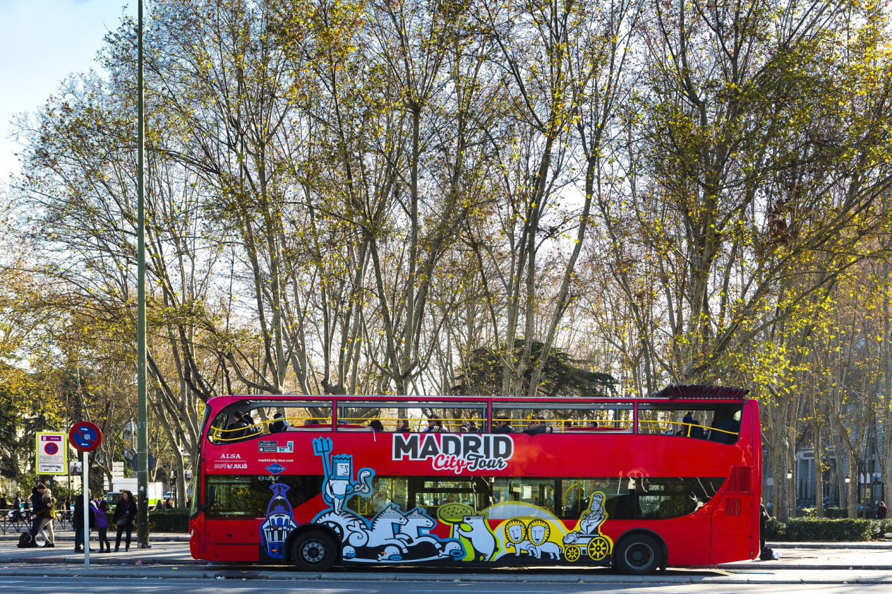 Madrid Multiattraction Pass - Explore Madrid with the Madrid Multiattraction Explorer Pass. Visit the Prado, Royal Palace and Reina Sofia, enjoy flamenco and tapas, tours, museums and more. Madrid Multiattraction Pass - Image 3 of 5