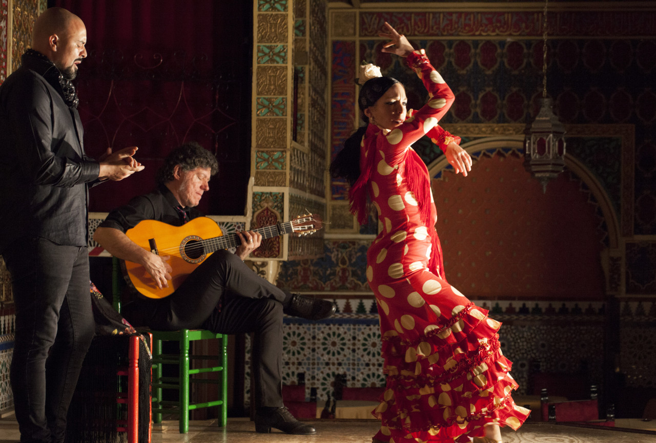 Madrid Multiattraction Pass - Explore Madrid with the Madrid Multiattraction Explorer Pass. Visit the Prado, Royal Palace and Reina Sofia, enjoy flamenco and tapas, tours, museums and more. Madrid Multiattraction Pass - Image 5 of 5