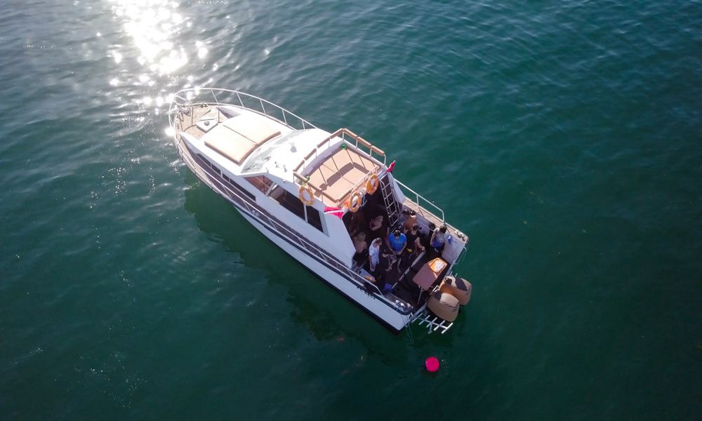 富查伊拉夜潜 - 图片 4 的 5