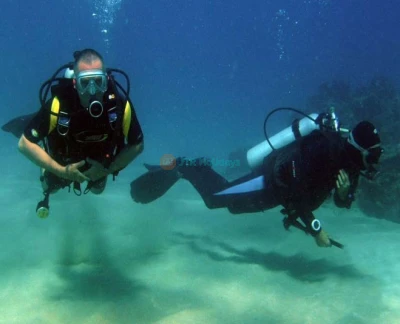 Night Diving Fujairah - Night Diving Fujairah, Slowly descend into the water at night and uncover the mysteries of the dark depths of the east coast. Night Scuba Diving Fujairah. Night Diving Fujairah - Image 5 of 5