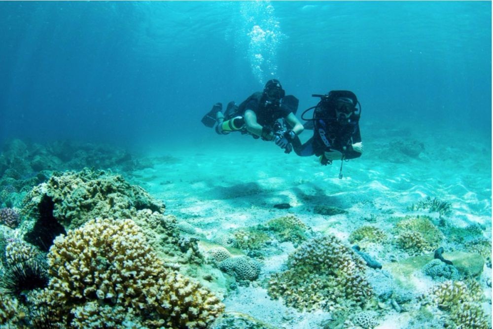 富查伊拉夜潜 - Image 6 of 8