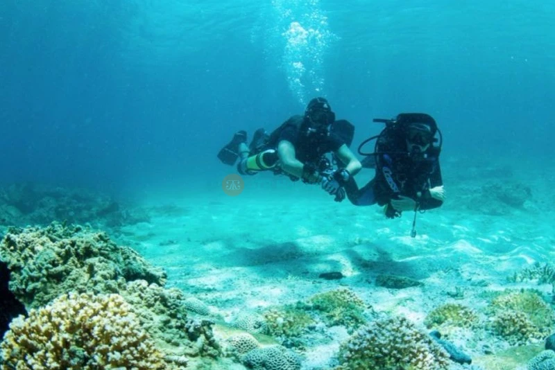 Night Diving Fujairah -Night Scuba Diving fujairah | jtrholidays.com