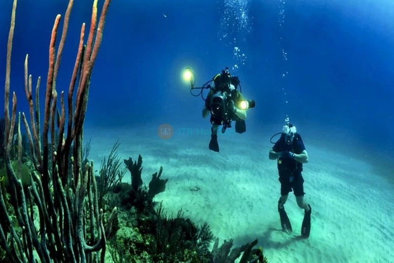 Night Diving Fujairah -Night Scuba Diving fujairah | jtrholidays.com
