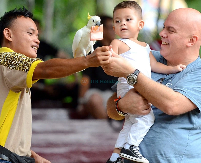 A’Famosa Ticket in Melaka - Enjoy a full day of adventure at A’Famosa Water Theme Park & Safari Wonderland in Melaka. Splash on thrilling water rides, float along relaxing rivers, and meet exotic animals like giraffes, flamingos, and monkeys perfect for family fun in Malaysia! A’Famosa Ticket in Melaka - Image 2 of 5