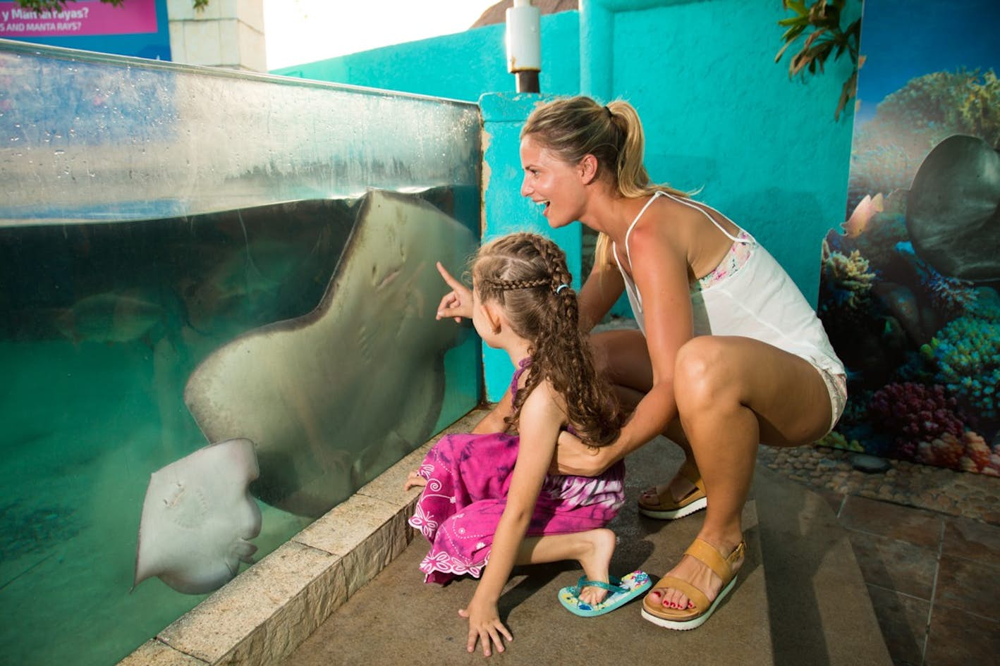 Interactive Aquarium Cancun - Visit Interactive Aquarium Cancun and discover sharks, rays, jellyfish and colourful fish. Explore interactive exhibits and enjoy a fun marine-life experience for the whole family. Interactive Aquarium Cancun - Image 4 of 5