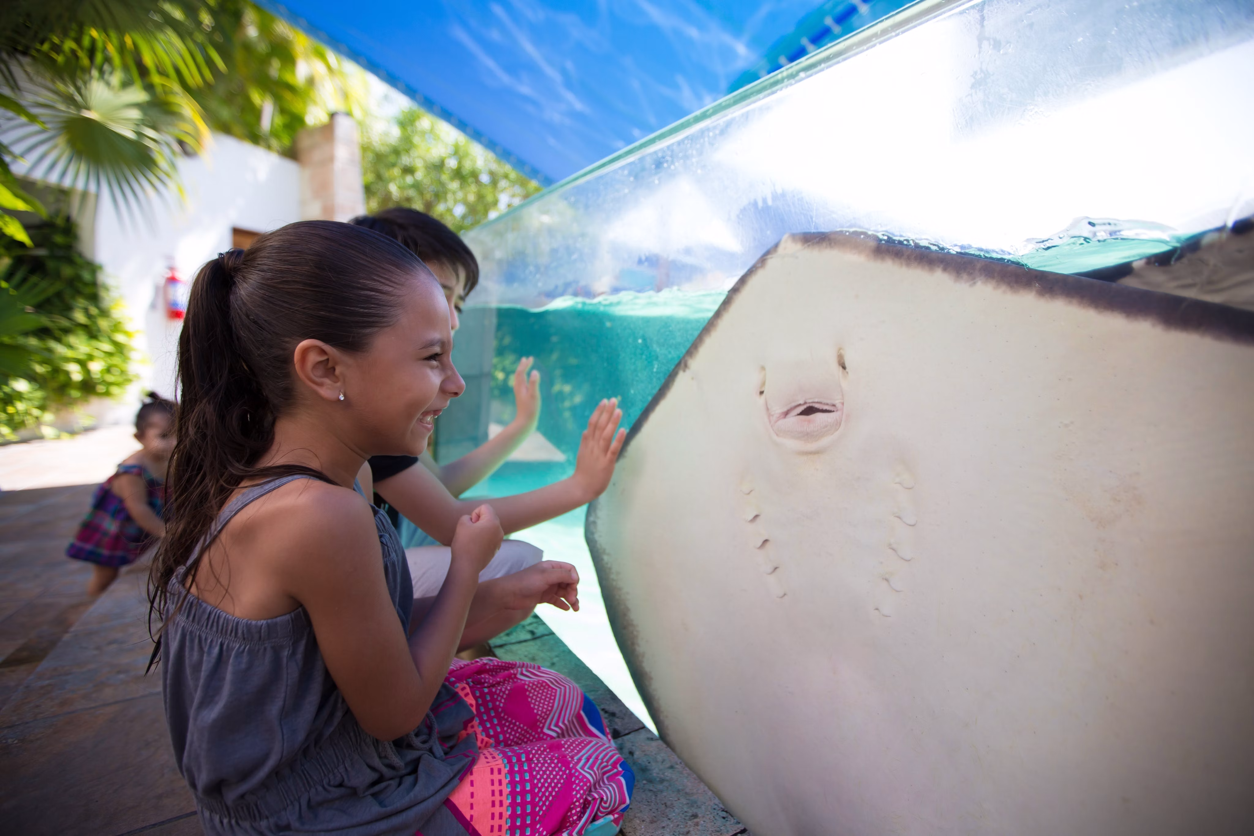 Interactive Aquarium Cancun - Visit Interactive Aquarium Cancun and discover sharks, rays, jellyfish and colourful fish. Explore interactive exhibits and enjoy a fun marine-life experience for the whole family. Interactive Aquarium Cancun - Image 5 of 5