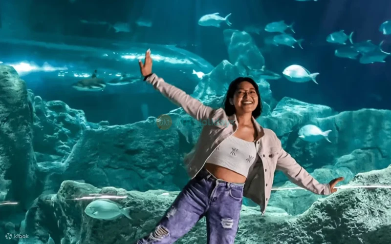 Biglietto Michin Aquarium Guadalajara